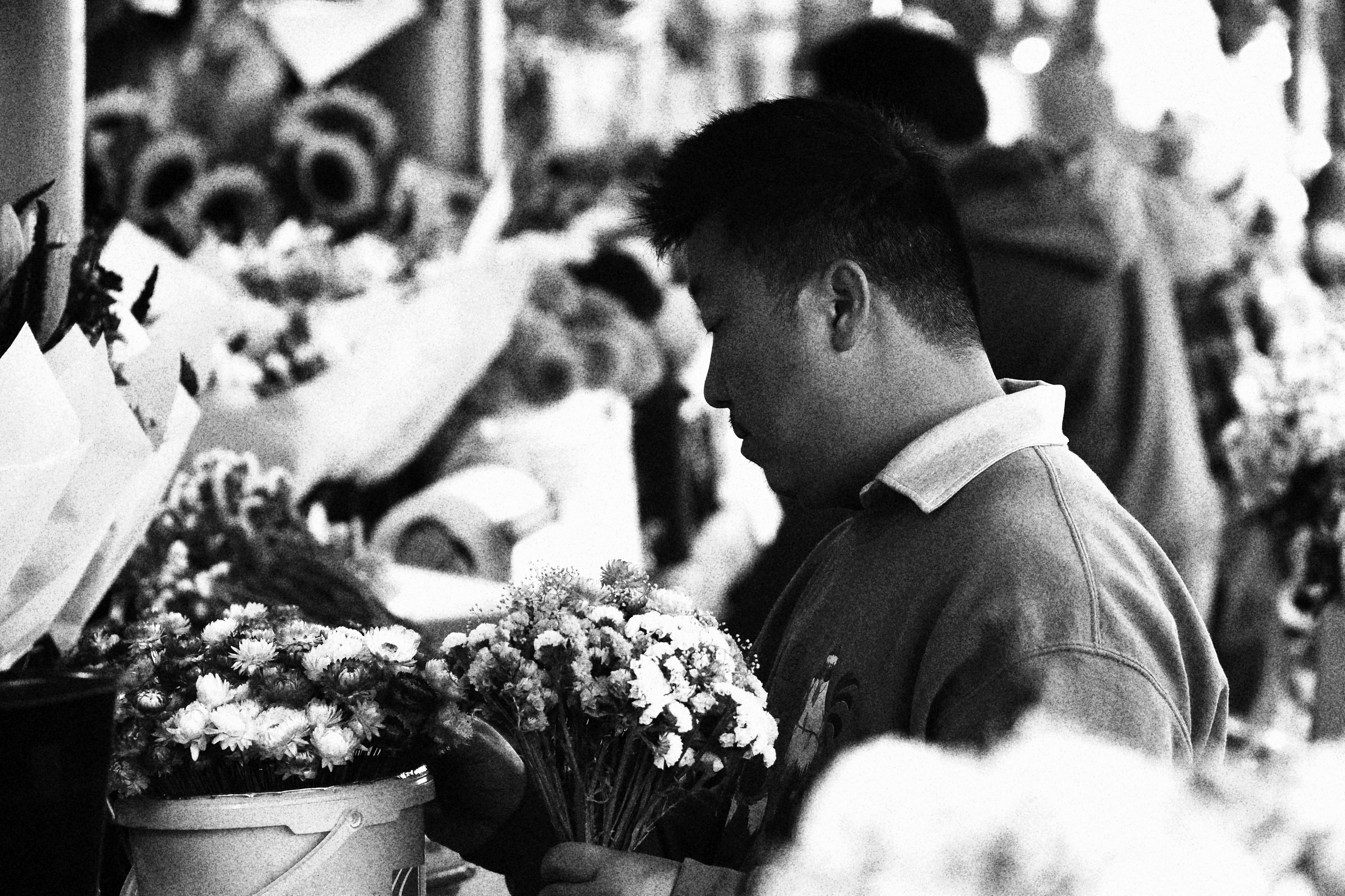 floral contemplation